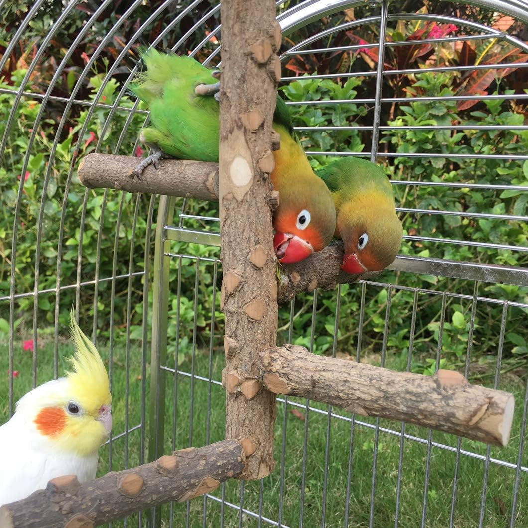 Bird Perch Nature Wood Stand for 3-4Pcs Small Medium Parrots (S-For Small Parrots)