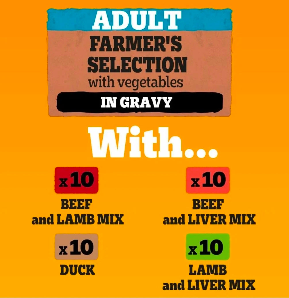 Variety Pouch in Gravy, 40 X 100G